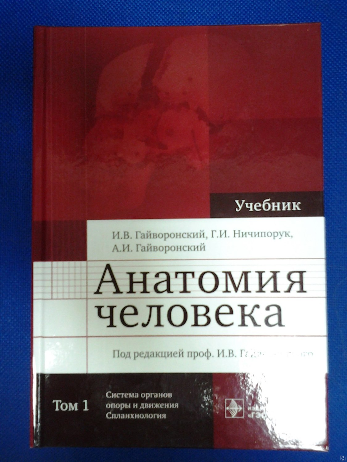 Учебник по анатомии. Гайворонский анатомия человека 1 том. Гайворонский Ничипорук анатомия человека том 2. Анатомия и физиология человека и.в. Гайворонский, г.и. Ничипорук. Гайворонский, Гайворонский, Ничипорук: анатомия человека. В 2-Х томах.