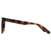 Очки солнцезащитные Ray-Ban 0RB4420 1494460 фото 2
