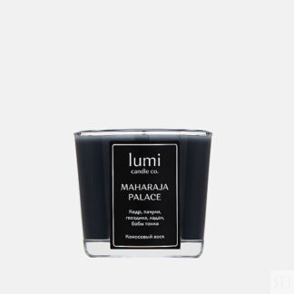 LUMI CANDLE CO. Ароматическая свеча petite Maharaja palace 90