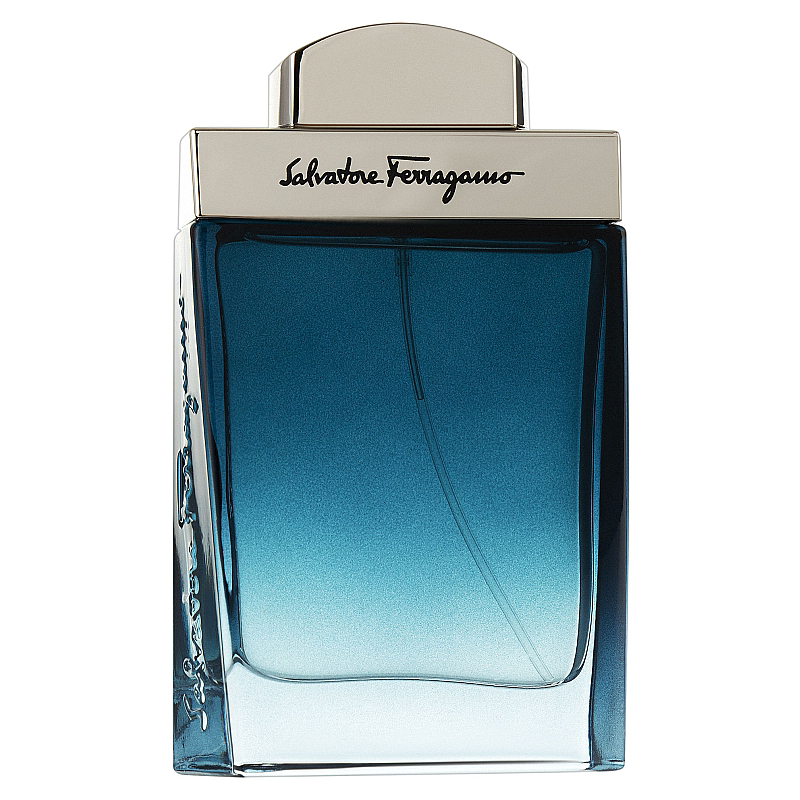 Туалетная вода Salvatore Ferragamo Subtil Pour Homme 3858 фото 1