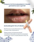 Увлажняющий бальзам для губ с заживляющим действием DHC Lip Cream 302163 фото 1