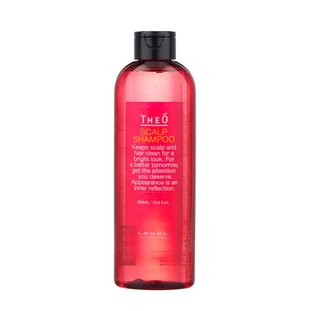 LEBEL Шампунь для волос, для мужчин / THEO SCALP SHAMPOO 320 мл LEBEL 1085лп фото 1