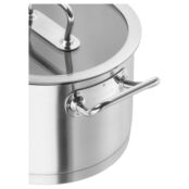 Набор кастрюль 5 пр. Zwilling Pro Zwilling 65120-005 фото 3