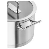 Сотейник с крышкой 20 см 3,1 л Zwilling Pro Zwilling 65122-200 фото 2